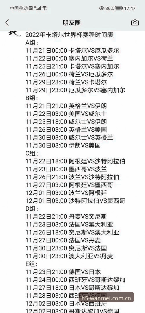 资深用户分享：世界杯观赛签证困局下的实战经验与深度观察