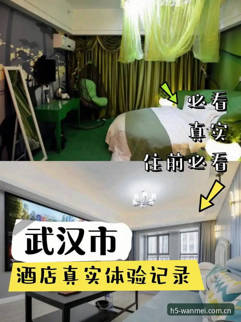 完美体育平台真实体验详解——资深用户分享使用心得